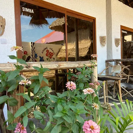 Bougainvillea Nungwi Zanzibar